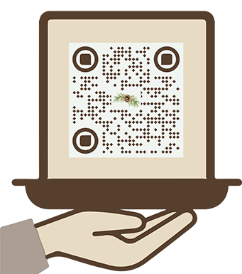 Les_adresses_de_Pomme_de_Pin-1024-3
