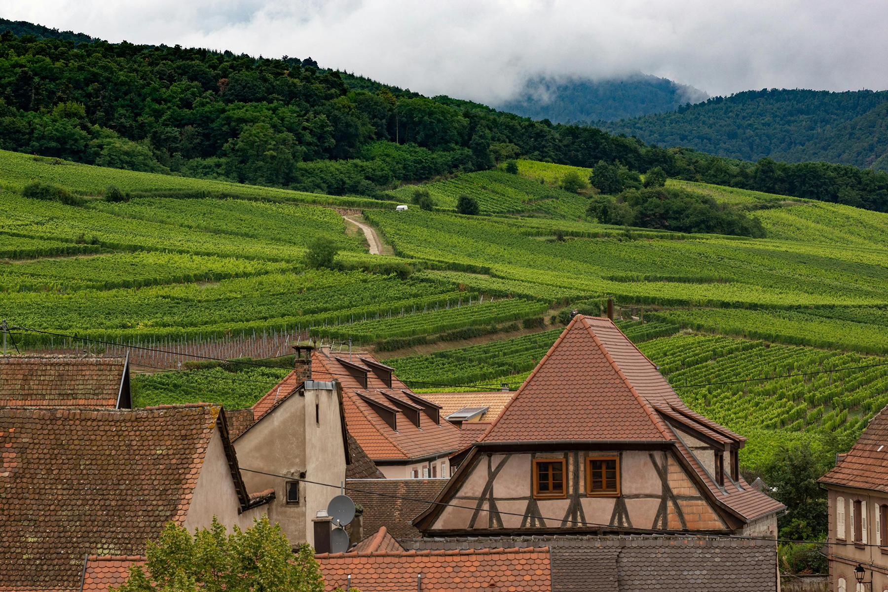 route-des-vins-alsace